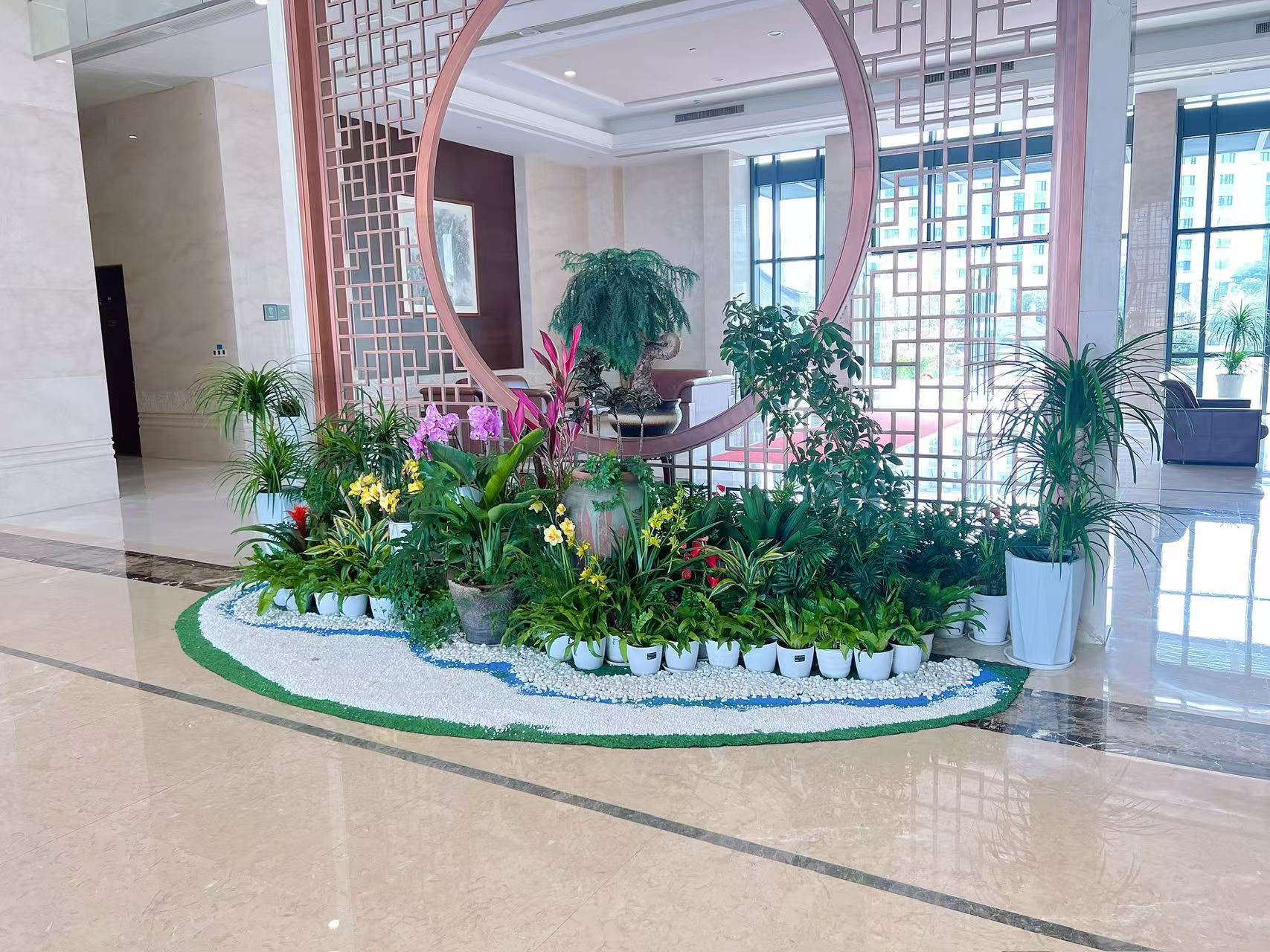 宁波杭州湾花木出租服务好